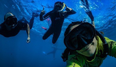 Underwater Swimmers